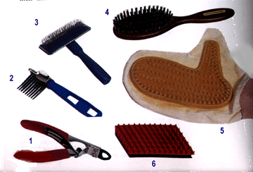 Care rabbits: How To Groom Your Rabbit - 360x244 - gif Rabbit Grooming Brush